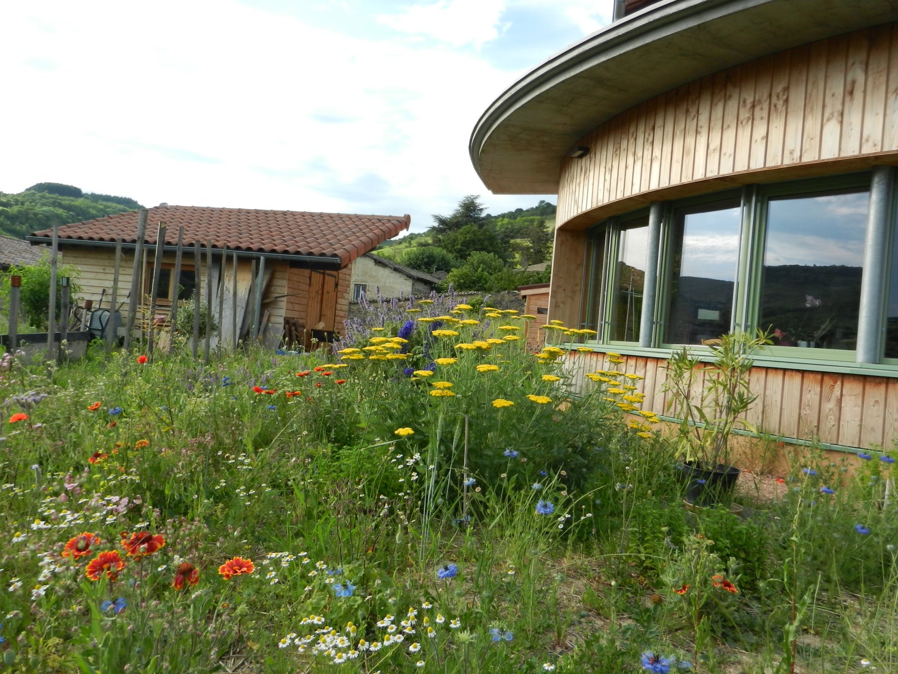 jardin_fleurs